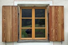 Holzfenster14